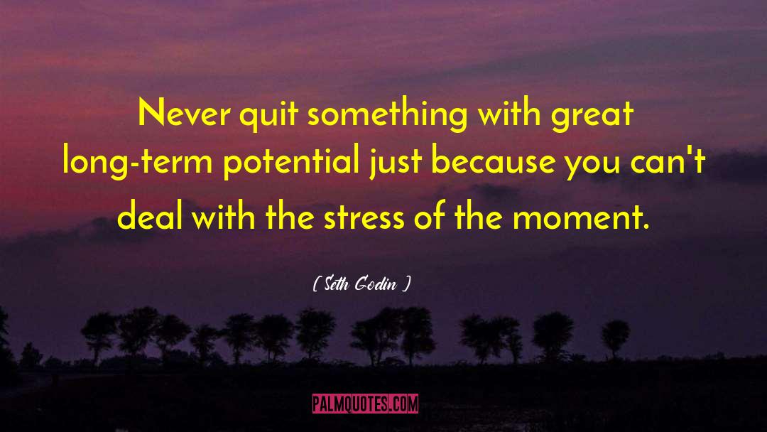 Relieve Stress quotes by Seth Godin