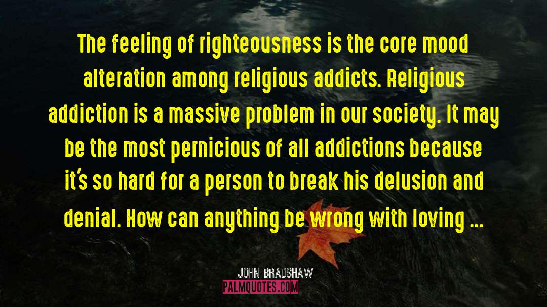 Religion And Institutions quotes by John Bradshaw