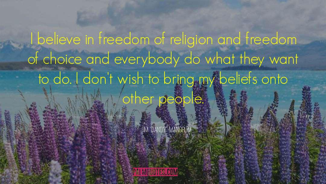 Religion Freedom quotes by Jim 