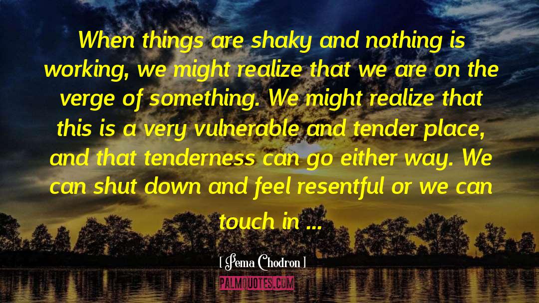 Religion In Things Fall Apart quotes by Pema Chodron