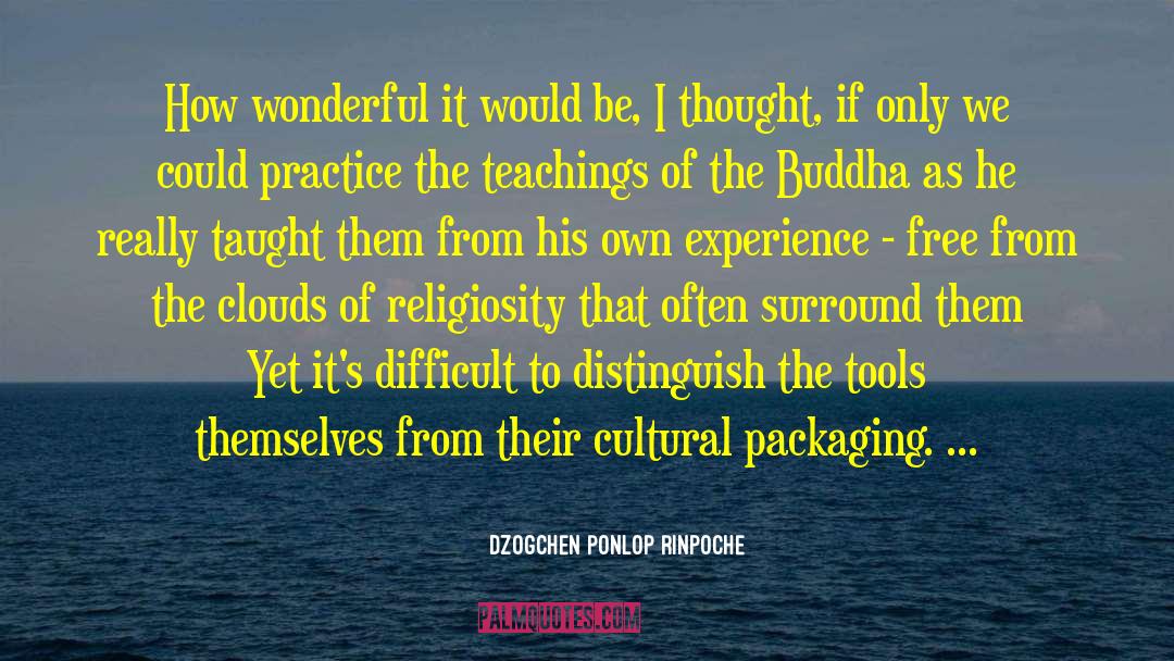 Religiosity quotes by Dzogchen Ponlop Rinpoche