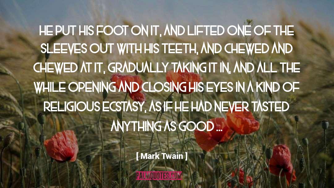 Religious Ecstasy quotes by Mark Twain