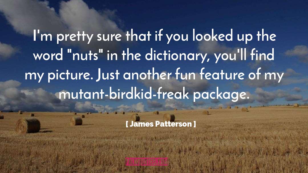 Religious Nuts quotes by James Patterson