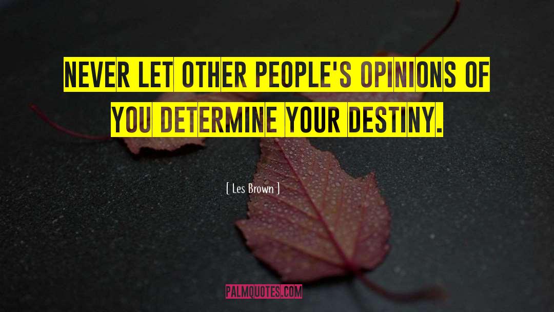 Religious Opinions quotes by Les Brown