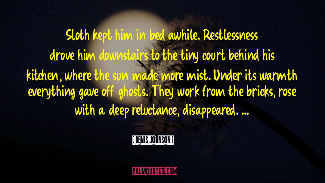 Reluctance quotes by Denis Johnson