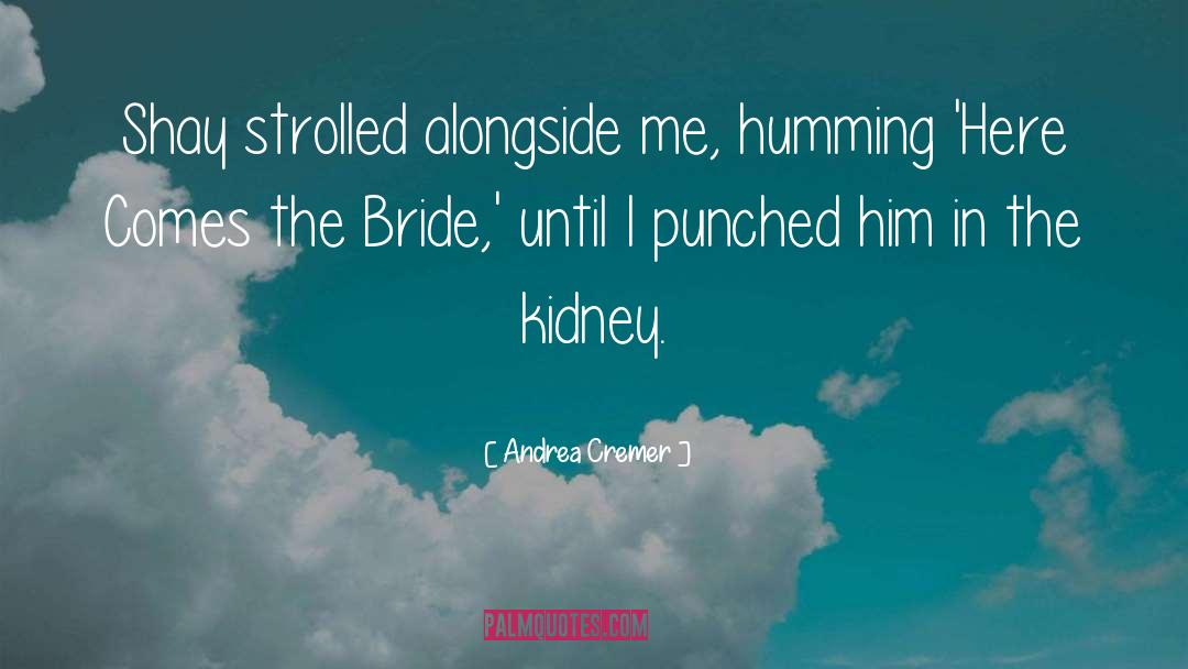 Reluctant Bride quotes by Andrea Cremer