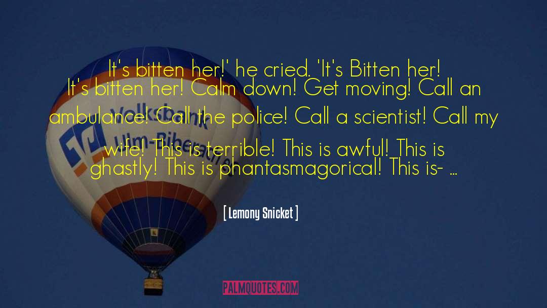 Remaining Calm quotes by Lemony Snicket