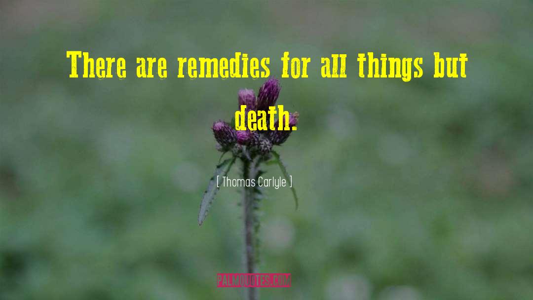 Remedies quotes by Thomas Carlyle