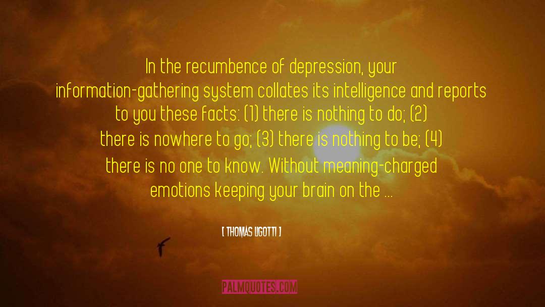 Remedy For Depression quotes by Thomas Ligotti