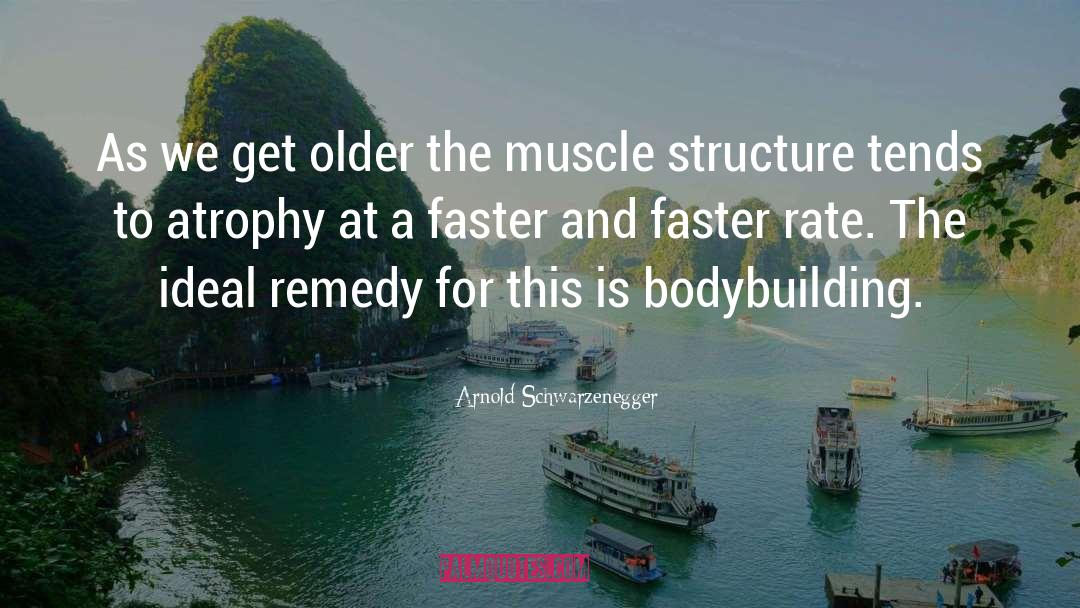 Remedy quotes by Arnold Schwarzenegger