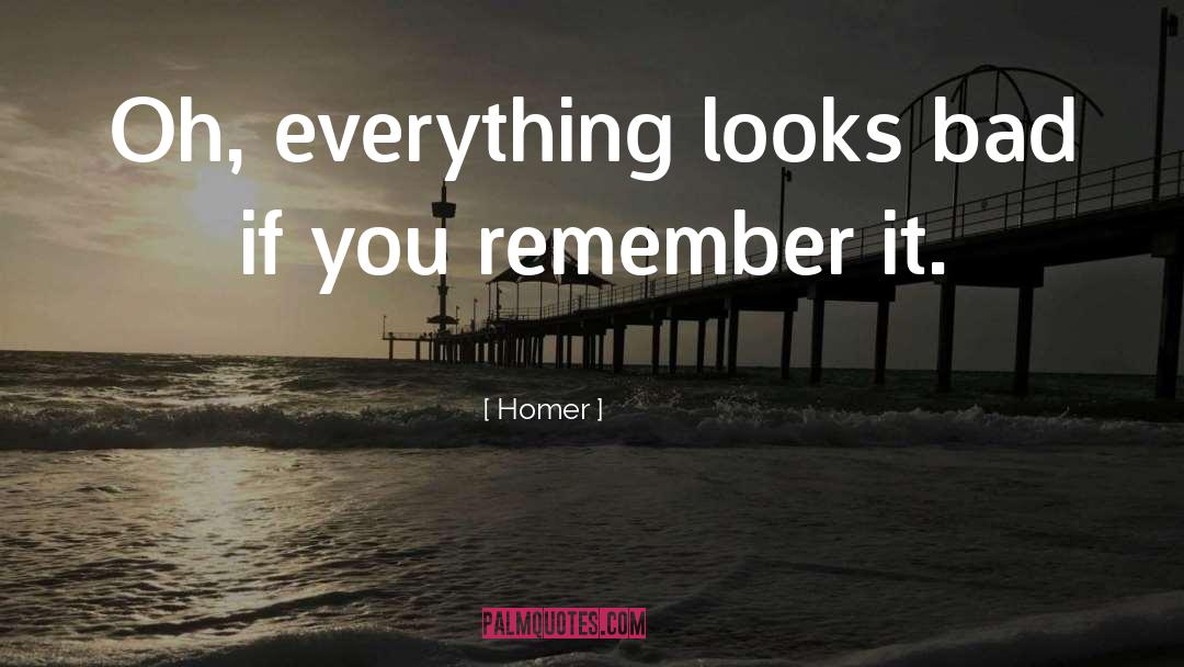 Remember Everything Happens quotes by Homer