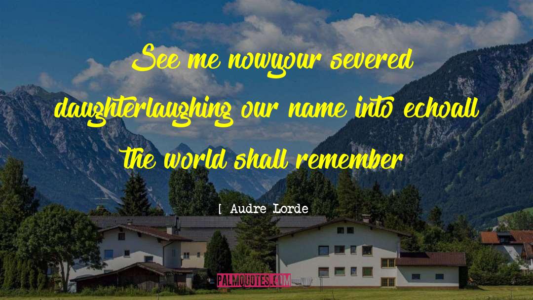 Remember Me Ps3 quotes by Audre Lorde
