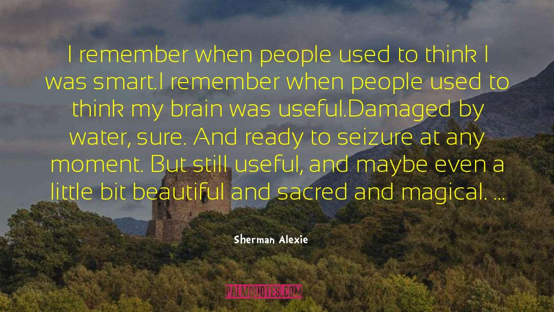 Remember Remember quotes by Sherman Alexie