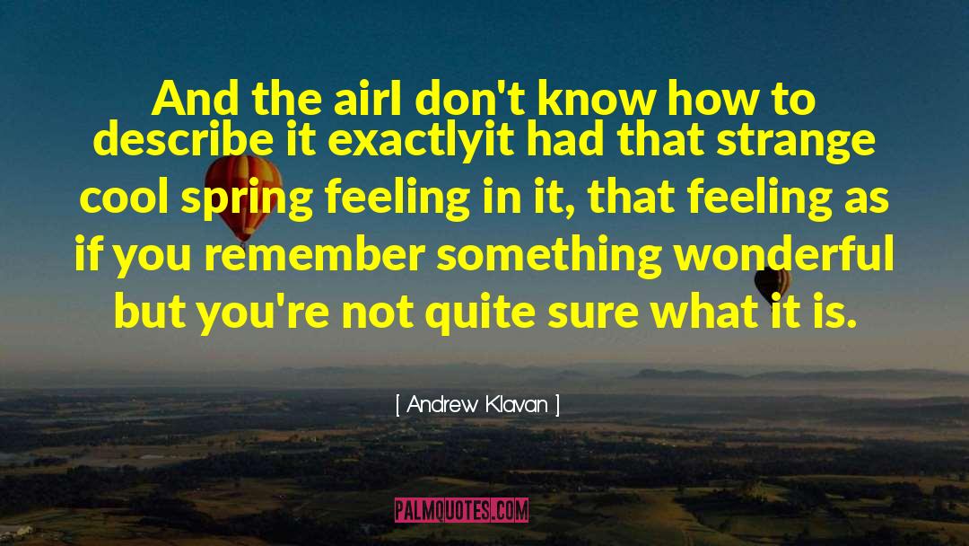 Remember Something quotes by Andrew Klavan