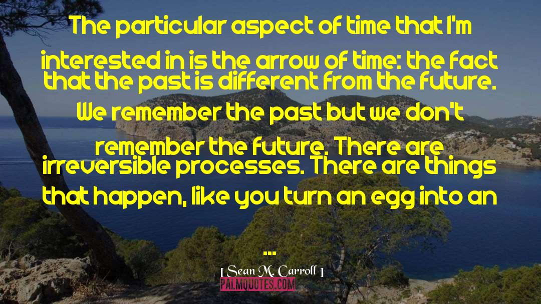 Remember The Past quotes by Sean M. Carroll