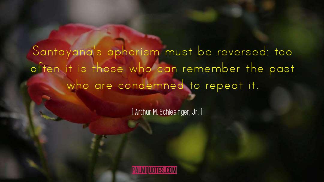 Remember The Past quotes by Arthur M. Schlesinger, Jr.