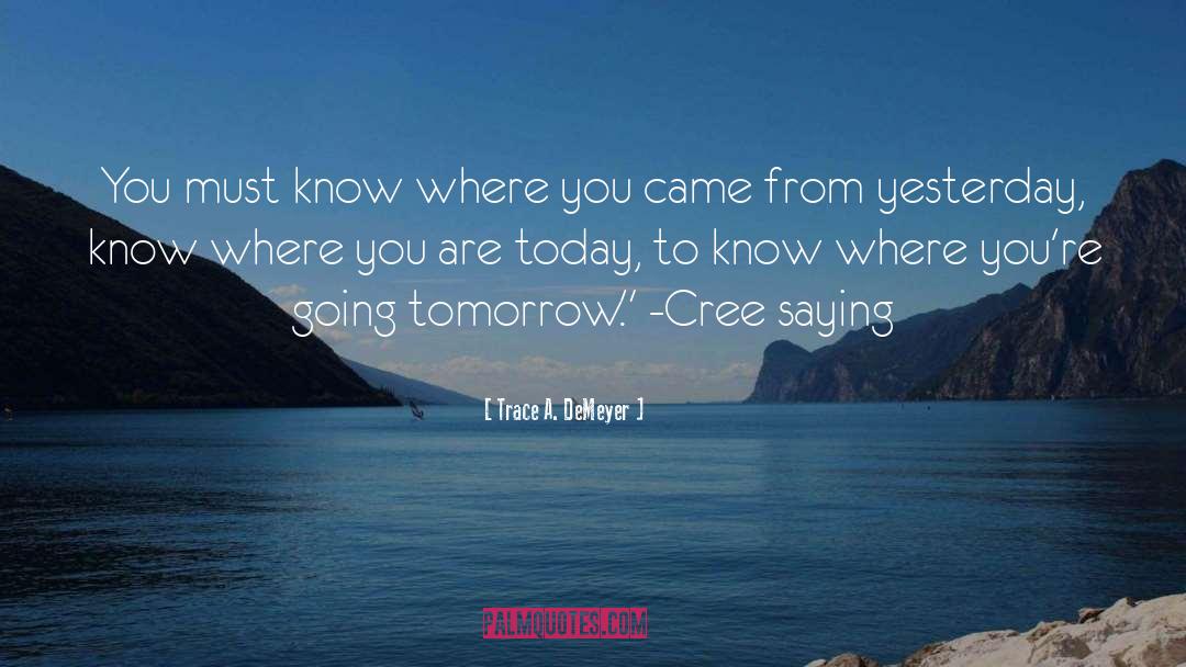 Remember Where You Came quotes by Trace A. DeMeyer