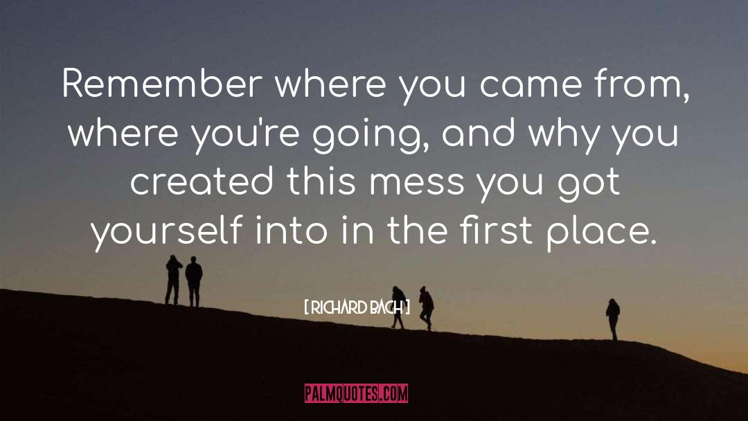 Remember Where You Came quotes by Richard Bach