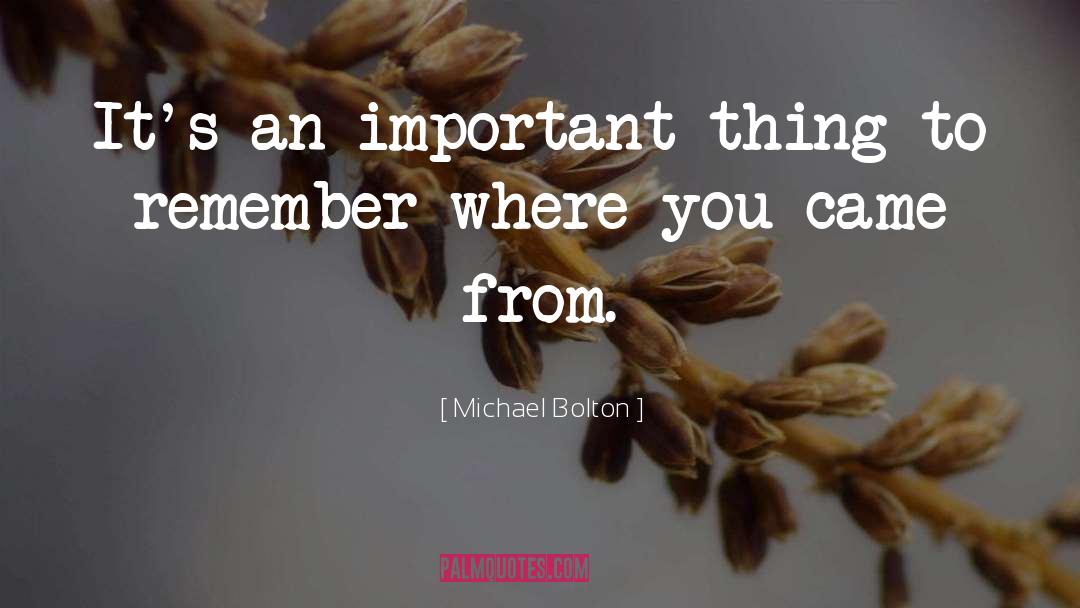 Remember Where You Came quotes by Michael Bolton