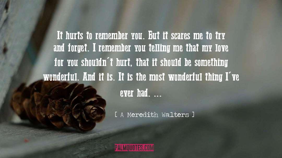 Remember You quotes by A Meredith Walters