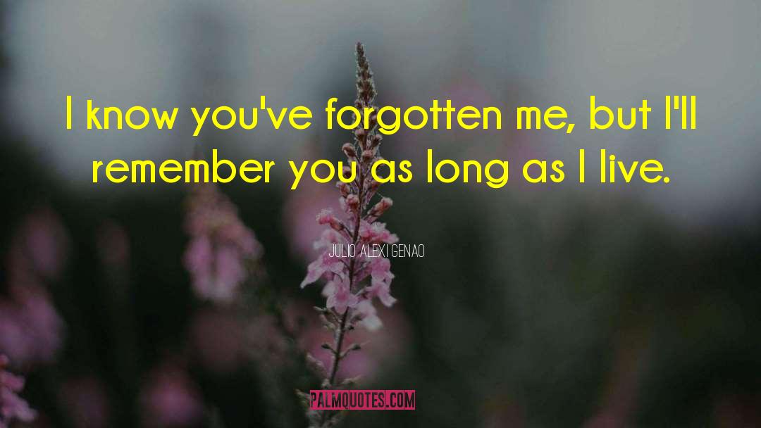 Remember You quotes by Julio Alexi Genao