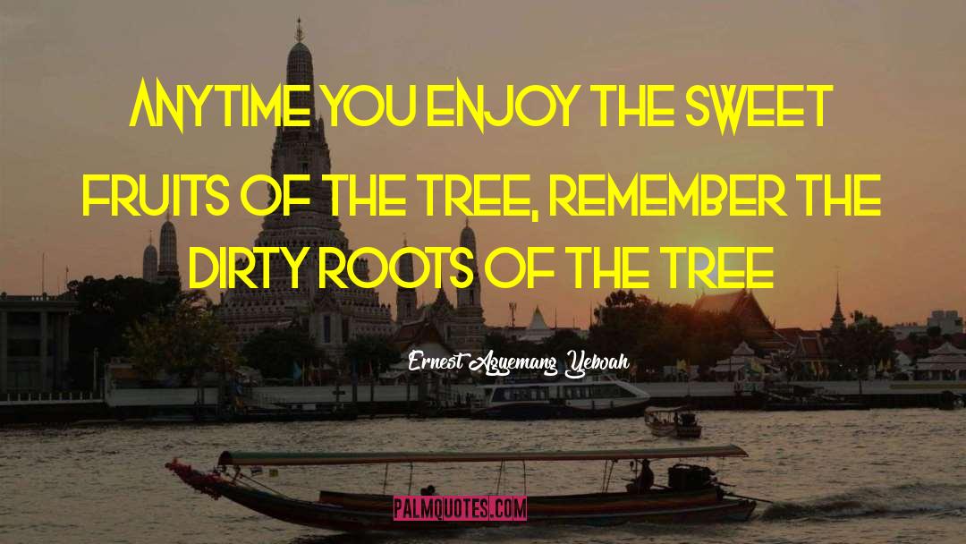 Remember Your Roots quotes by Ernest Agyemang Yeboah