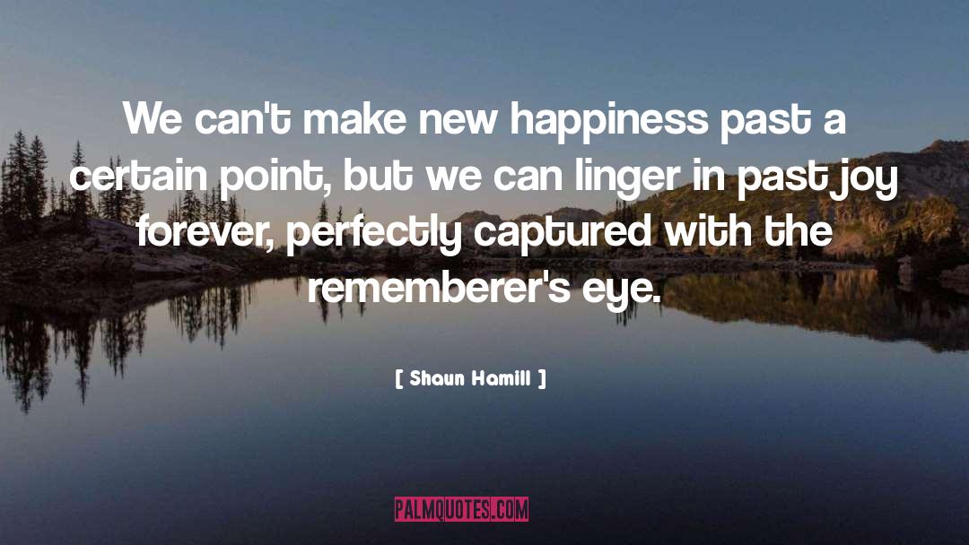 Rememberer quotes by Shaun Hamill