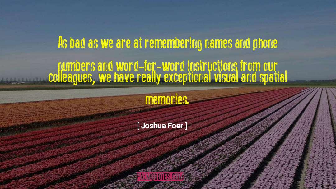 Remembering Death Anniversary quotes by Joshua Foer