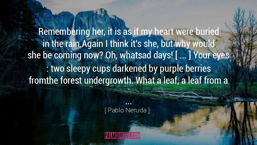 Remembering Your Hometown quotes by Pablo Neruda