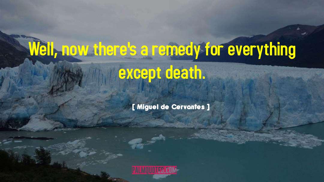 Remembers Everything quotes by Miguel De Cervantes