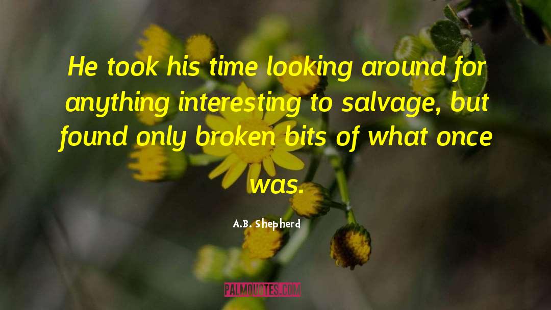 Reminiscing quotes by A.B. Shepherd