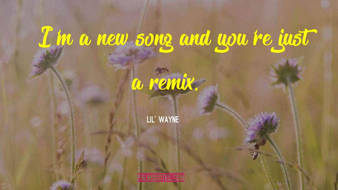 Remix quotes by Lil' Wayne