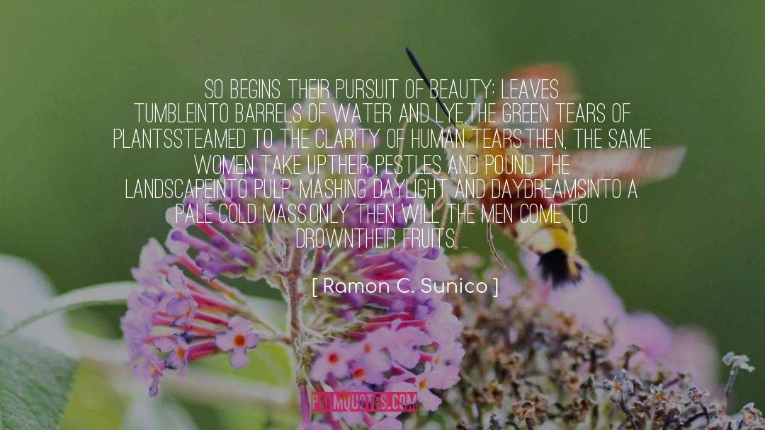 Remnants quotes by Ramon C. Sunico