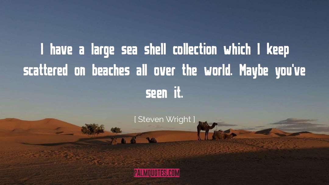 Remote Beaches quotes by Steven Wright