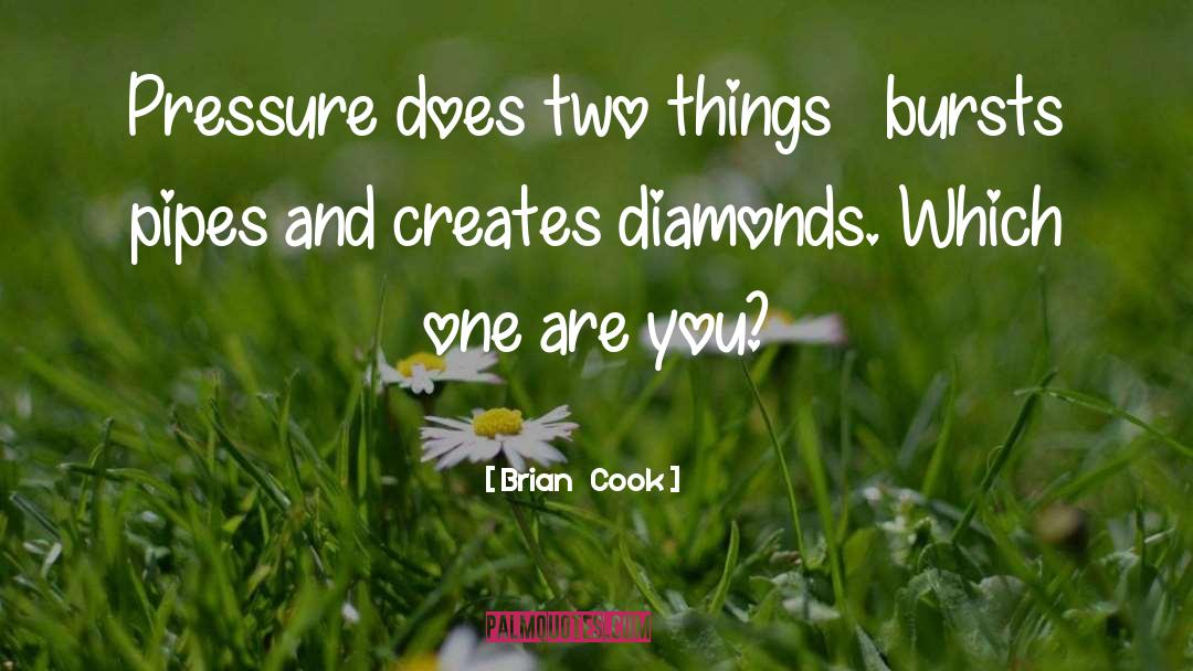 Remounted Family Diamonds quotes by Brian   Cook