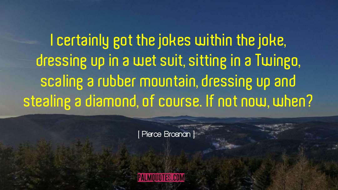 Remounting Diamond quotes by Pierce Brosnan