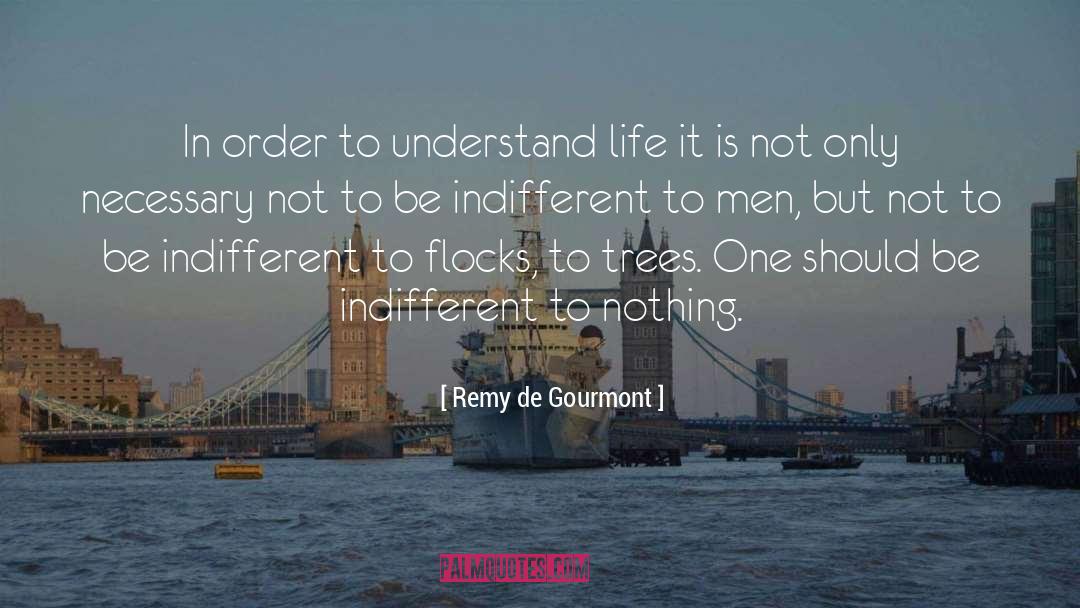 Remy quotes by Remy De Gourmont