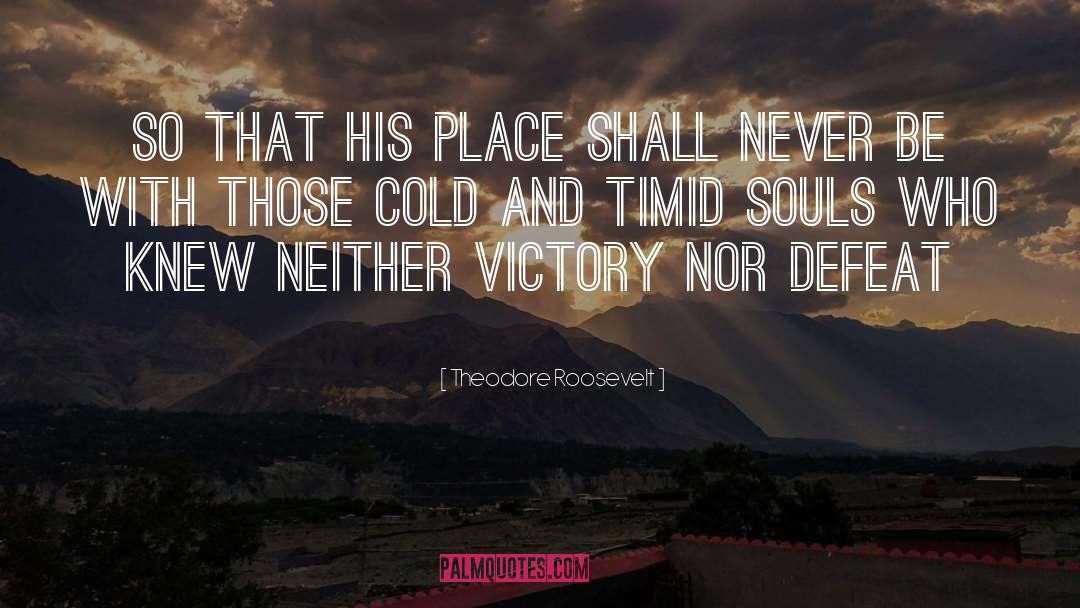 Renaissance Souls quotes by Theodore Roosevelt