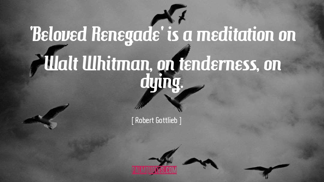 Renegade quotes by Robert Gottlieb