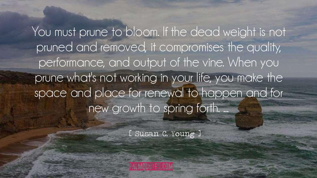 Renewal quotes by Susan C. Young