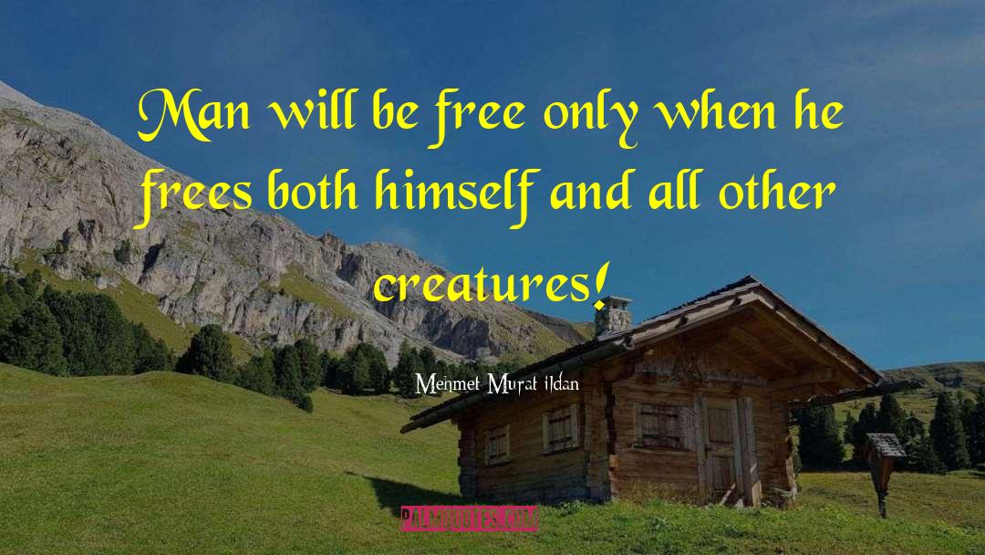 Rent Free quotes by Mehmet Murat Ildan