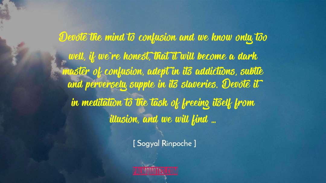 Renunciation Buddhism quotes by Sogyal Rinpoche