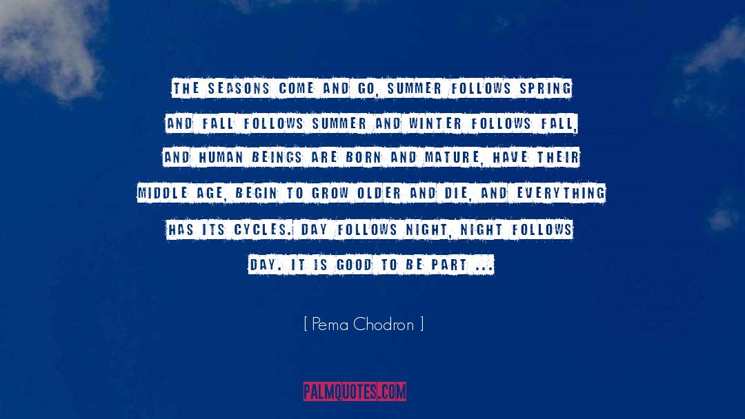 Renunciation quotes by Pema Chodron