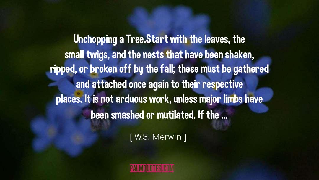 Repaired quotes by W.S. Merwin