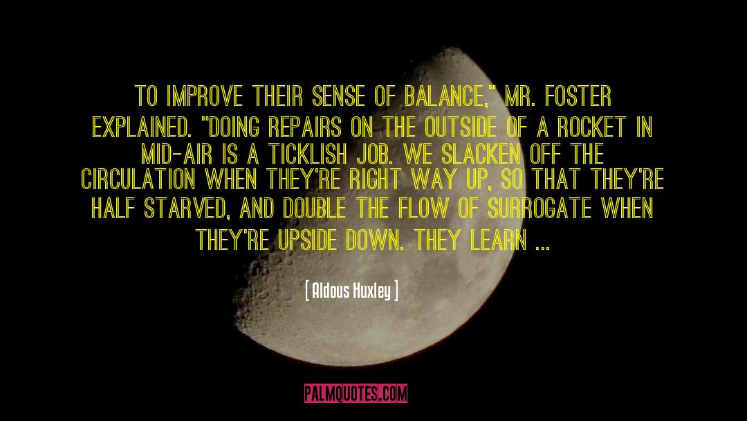 Repairs quotes by Aldous Huxley