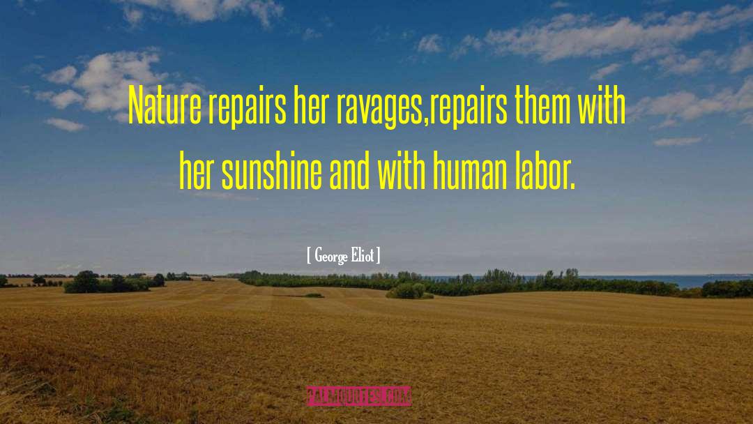 Repairs quotes by George Eliot