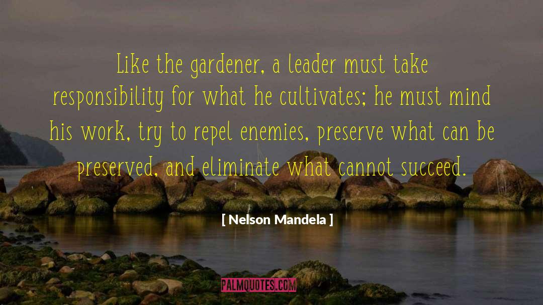 Repel quotes by Nelson Mandela