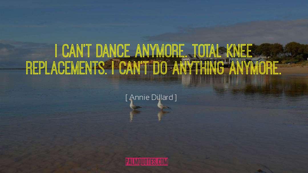 Replacements quotes by Annie Dillard