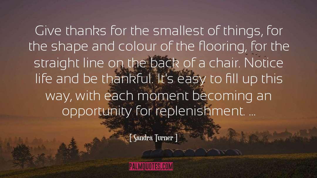 Replenishment quotes by Sandra Turner