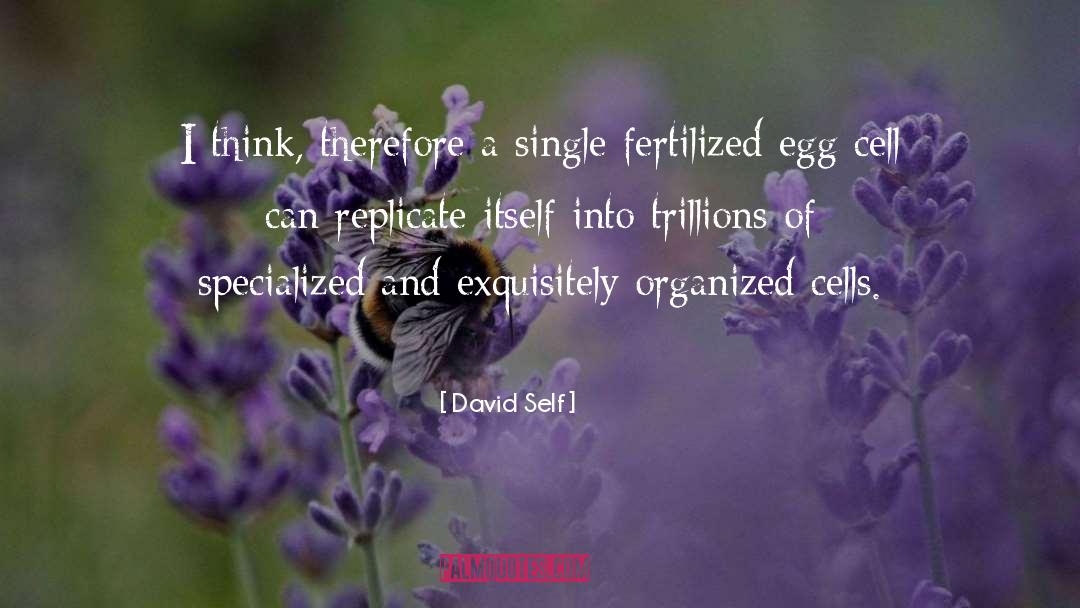 Replicate quotes by David Self